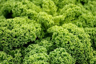 Warum boomt der Markt für vegane Produkte?
